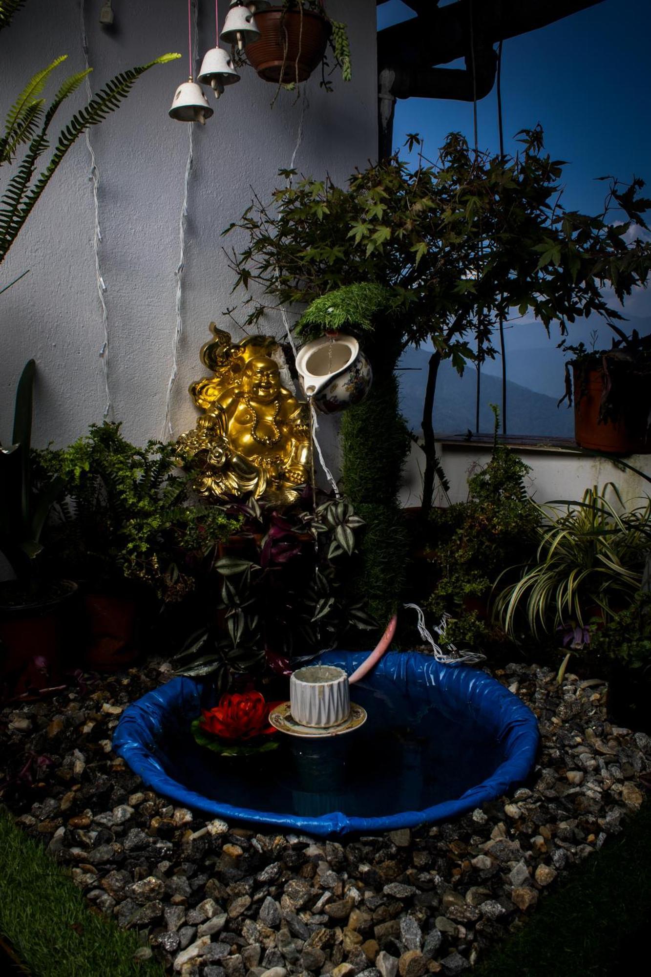 The Sunset Nest Offbeat Homestay Darjeeling  Ngoại thất bức ảnh